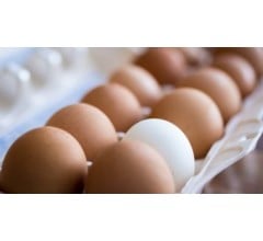 Image for Eggs Are Good For You- Again