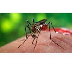 Image for How Does Zika Affect Infected Men?