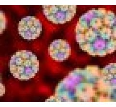 Image for At Least 1 in 5 Adults in the US Infected By High-Risk Strain of HPV