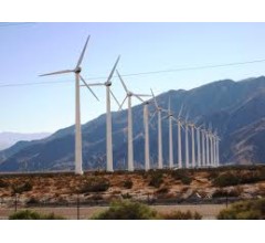 Image for Nevada Wind Farm Under Investigation for Death of Eagle