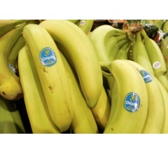 Image for Shareholders at Chiquita Called to Start Proxy Battle