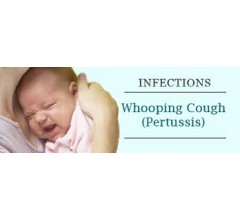 Image for Whooping Cough Worries Washington Officials