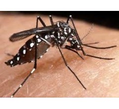 Image for Vaccine Works in Thailand Trial against Dengue