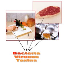 Image for Foodborne Illnesses Still Sending Many to the Hospital