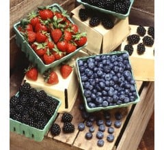 Image for Blueberries Help Lower Diabetes Risk