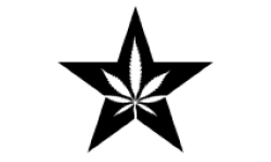 American Green logo