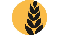 Lua Token logo