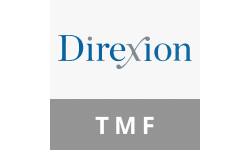 Direxion Daily 20 Year Plus Treasury Bear 3x Shares logo