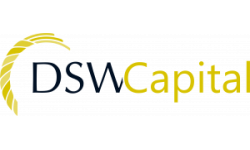 DSW Capital logo