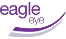 Eagle Eye Solutions Group logo