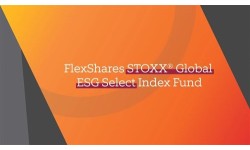 FlexShares STOXX Global Broad Infrastructure Index Fund logo