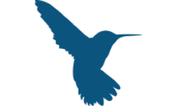 Hummingbird Resources PLC logo