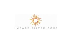 IMPACT Silver logo