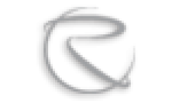 Rand Worldwide logo