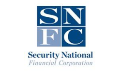 National Security Financial Logo