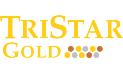 TriStar Gold logo