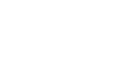 VSE Co. logo